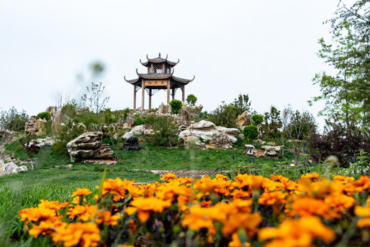 綠地公園