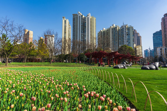 城市公園