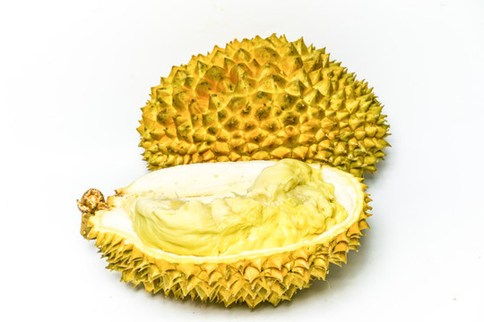 榴蓮