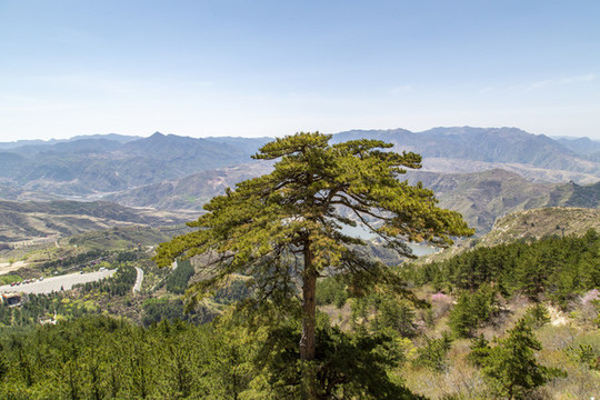 北岳恒山