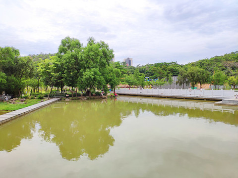 公園美景