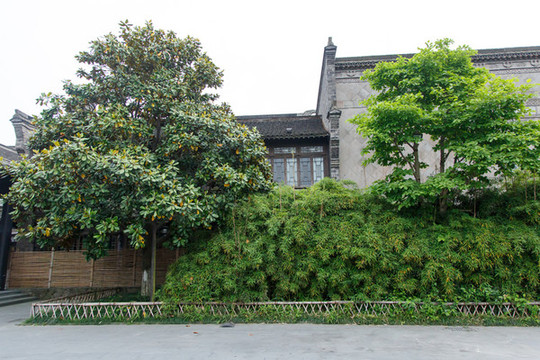 烏鎮(zhèn)