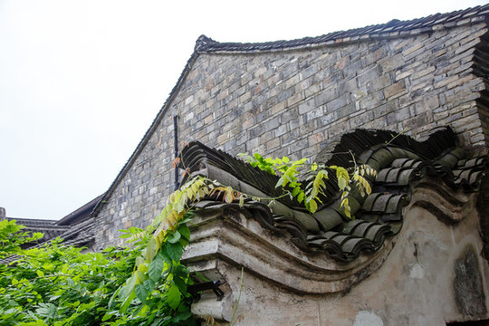 烏鎮(zhèn)
