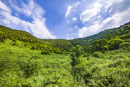 青島嶗山藍天白云高山大海