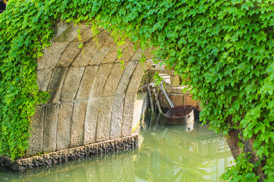 爬山虎古橋