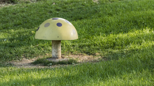 公园的蘑菇形状的装饰物