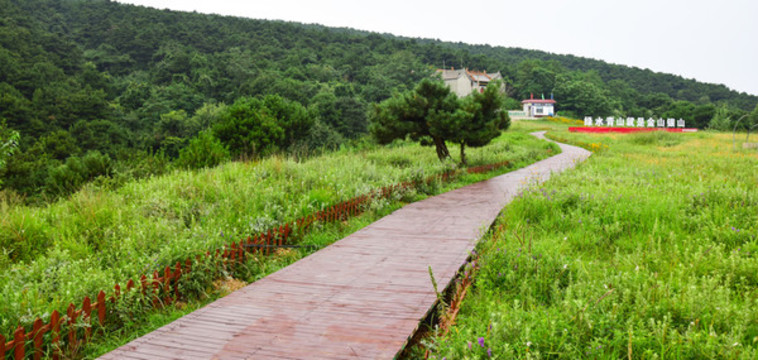 嵩陰草甸風景