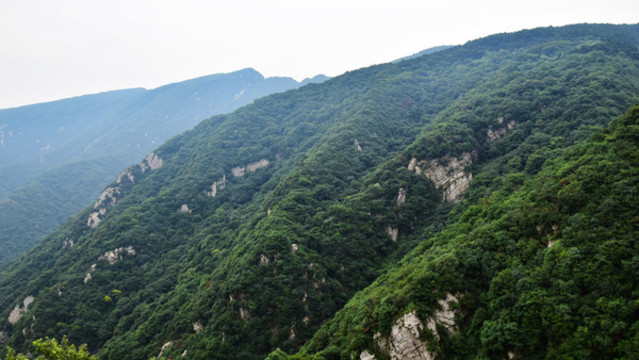 綠色的嵩山山峰景觀