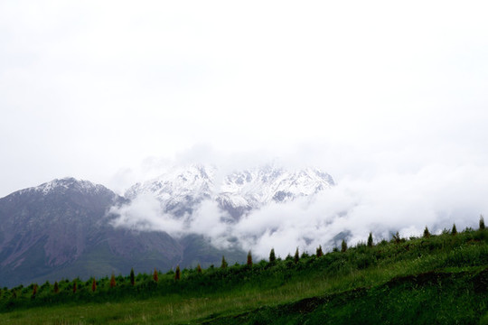 卓爾山
