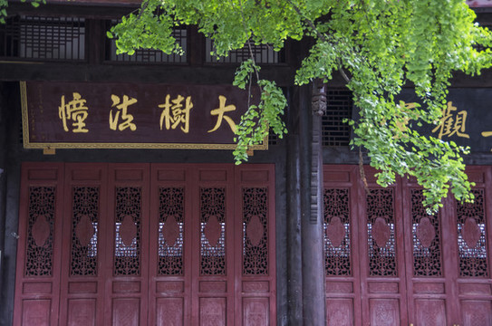 大樹法幢