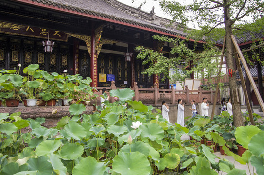 古建筑與荷