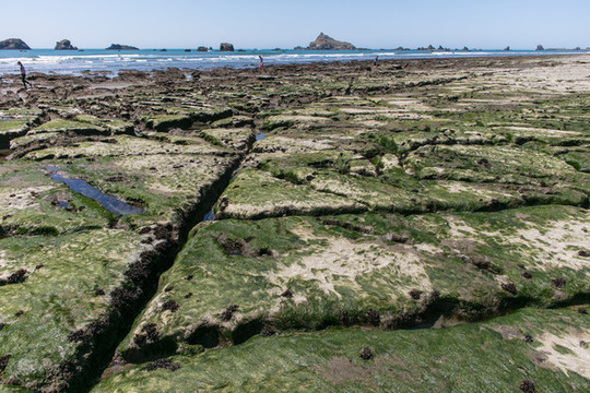 俄勒岡海岸線