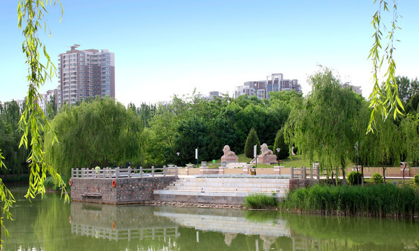 銀川森林公園