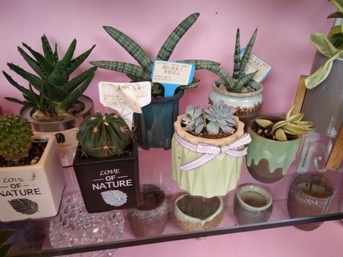 花