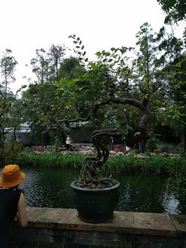 花