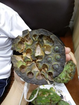 蓮花托