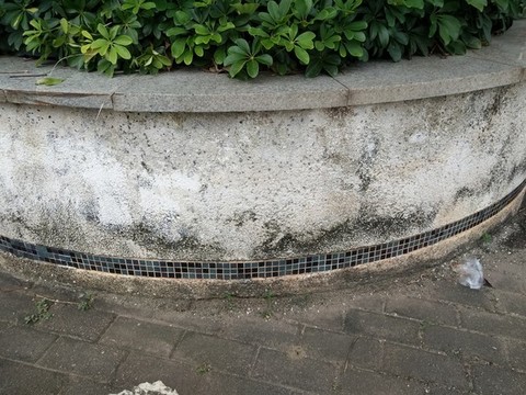 肌理