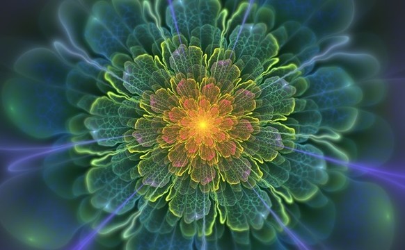 花朵裝飾畫