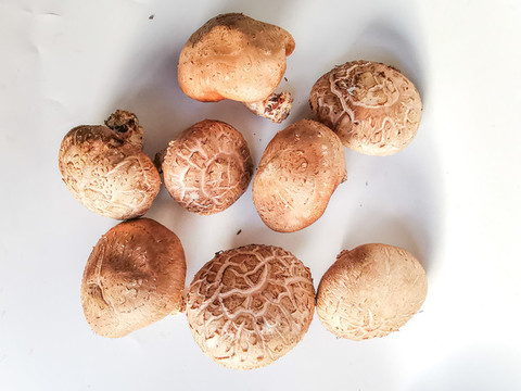 新鮮香菇素材