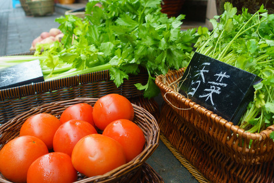 菜籃子里的蔬菜
