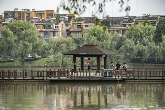 公園風(fēng)光