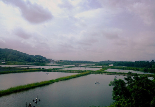 山水田園