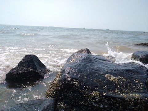 海岸線