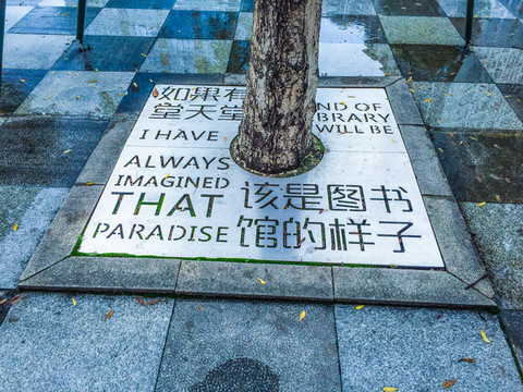 樹池