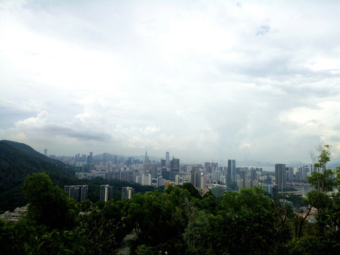 深圳灣景色