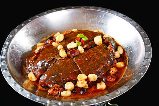 散養(yǎng)甲魚