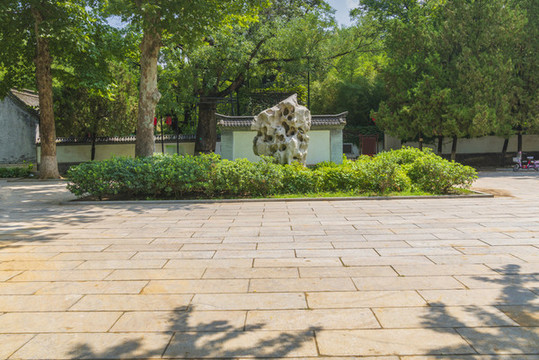 綠樹背景石板路