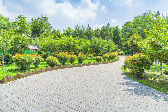 綠樹背景石板路