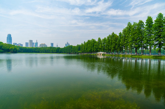 湖北武漢東湖風(fēng)景區(qū)夏日風(fēng)光