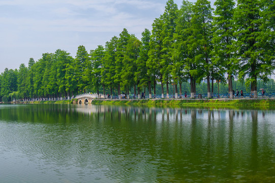 湖北武漢東湖風(fēng)景區(qū)夏日風(fēng)光