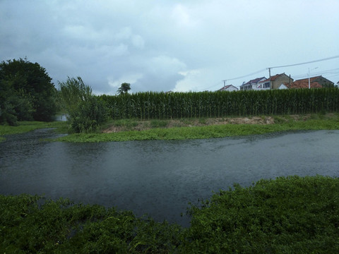 夏日暴雨鄉(xiāng)村