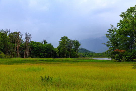 神農(nóng)架風(fēng)光