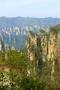 張家界武陵源砂巖峰林自然風景
