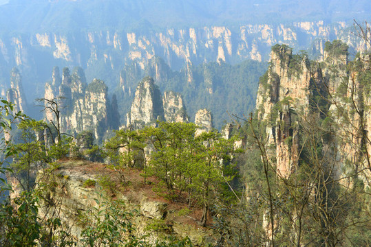 張家界武陵源砂巖峰林自然風(fēng)景