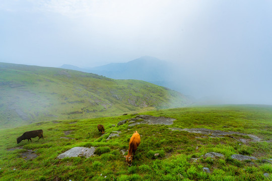 崇義齊云山