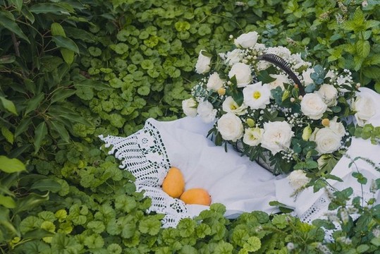 花籃