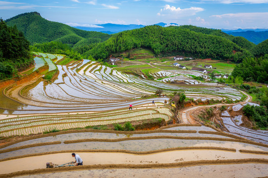 上堡梯田