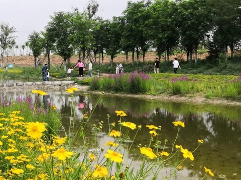 夏日景色