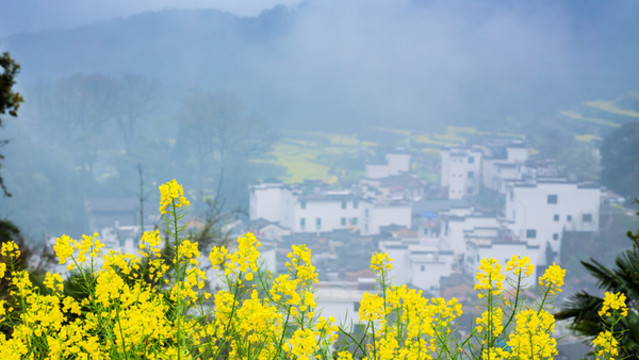 江嶺人家