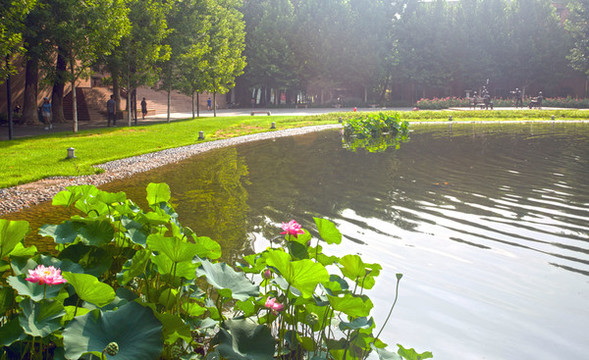傳媒大學校園景色
