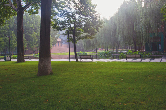 傳媒大學(xué)校園景色