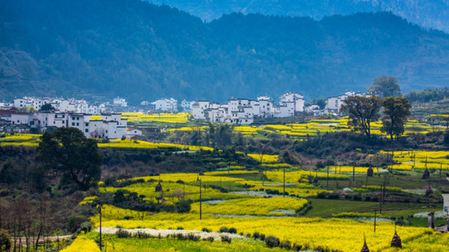 婺源江嶺梯田