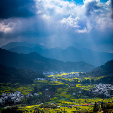 婺源江嶺梯田