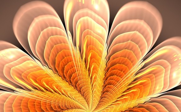 花朵裝飾畫