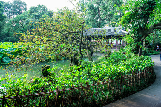 杜甫草堂園林景觀