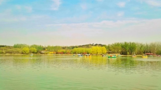 公園
